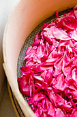 Dried pink rose petals, Flowers, Homemade