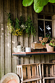 Herbs hung up to dry on the outside of a garden shed, Garden, Homemade