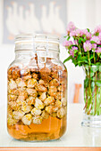 Jar of red clover blossoms, Infusion, preserve, homemade
