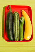 Fresh yellow and green courgettes, zucchini, Vegetable, Bavaria, Germany