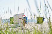 Strandhafer und bunte Strandkörbe am Strand, Wyk, Föhr, Nordfriesland, Schleswig-Holstein, Deutschland, Europa
