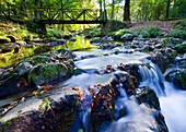 Watercourse  Saja-Besaya Natural Park  Cantabria, Spain