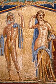 Herculaneum  Campania  Italy  Mosaic in the house of Neptune & Amphitrite
