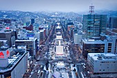 Aerial view of Odori Park during snow festival,Sapporo, Hokkaido, Japan