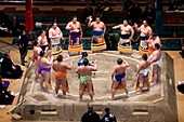 Sumo tournament in Ryogoku kokugikan stadium,Tokyo city, Japan