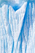 Iceberg detail in and around the Antarctic Peninsula during the summer months, Southern Ocean. Iceberg detail in and around the Antarctic Peninsula during the summer months, Southern Ocean  MORE INFO An increasing number of icebergs are being created as c
