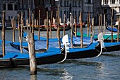 Gondolas in Venice, Italy