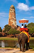 Elephant Ride in Front of Wat Ratchaburana, Ayuthaya, Thailand