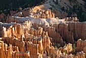 USA, Utah, Bryce Canyon National Park, Bryce Point, ´alligator´ rock formation white