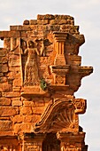 Ruins of the Jesuit reduction San Ignacio Mini, Detail of the Church gate, Misiones Province, Argentina, South America, Unesco World Heritage Site