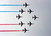 Patrouille de France, aerobatics