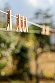 Washing line and clothespins