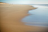 Beach  La Teste de Buch  Arcachon Bay  Gironde  Aquitaine  France