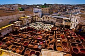 The medieval traditional tanneries of Fez - Morocco