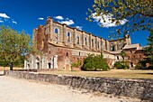 Ruins of the Cistercians abbey San Galgano, Chiusdino, Tuscany, Italy, Europe