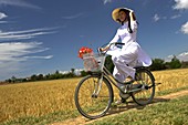 Young woman in conical hat and traditional white ao dai costume rides bicycle in rice fields near Phan Thiet south east Vietnam