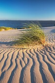 Mooving dunes in the Slowinski National Park, Poland, Europe