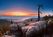 At Szczeliniec before sunrise - Sudety Mountains, National Park, Poland, Europe