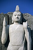 Replica of Aukana Buddha, Giritale near Polonnaruwa, Sri Lanka