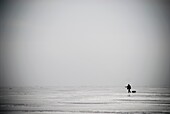 Lone Ice fisherman walking across a frozen Curonian Lagoon, Lithuania