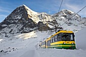 Grindelwald to Kleiner Scheidegg Train - Swiss Alps