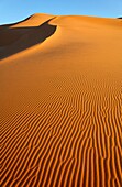 Sand dunes of the Sahara Desert, Libya