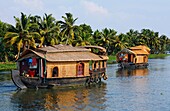 Houseboats on the Kerala Backwaters, Kerala, India