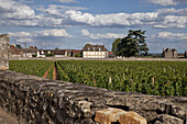 Low Stone Wall Surrounding The Meursault Vineyards, The Great Burgundy Wine Road, Cote D’Or (21), France