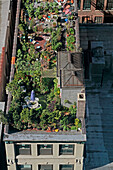 Garden On A Rooftop Terrace Of A Building, Manhattan, New York City, New York State, United States
