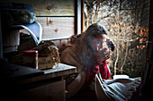 Lorelei Having Her Cup Of Tea In The Early Morning At The Entrance To Her Cabin, She Left Everything Behind To Come Build And Live In Her Wood Cabin In The Creuse, France