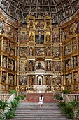 SPAIN - ANDALUSIA - GRENADA - APSE OF THE CHURCH OF JERONIMO MONASTERY