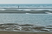 Europe, Belgium, North Sea, Western Flanders, De Haan, the beach, a jogger