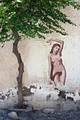 Italy - Campania - Naples - wall and naive painting, inspired by the Birth of Venus of Boticelli, in a yard of old Naples