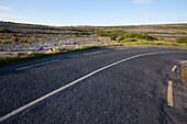 Republic of Ireland,County Clare,Empty Road in The Burren