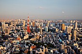 Japan,Tokyo,Roppongi,View of Tokyo Tower and City Skyline from Tokyo City View Tower