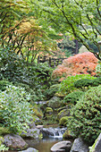 The Japanese Garden in Portland is a 5.5 acre garden and retreat. Said to be one of the most authentic Japanese Garden's outside of Japan, the rolling terrain and water features symbolize both peace and strength. Traditional hard landscaping designs, wate