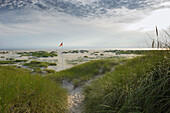 Beach and German flag, sandbank, near Nebel, Amrum, North Frisian Islands, Schleswig-Holstein, Germany