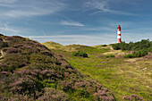 Lighthouse, near Nebel, North Frisian Islands, Schleswig-Holstein, Germany
