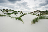Sand dunes, sandbank, Nebel, Amrum, North Frisian Islands, Schleswig-Holstein, Germany