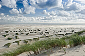 Beach and sandbank near Wittduen,  Amrum, North Frisian Islands, Schleswig-Holstein, Germany