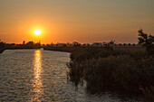 Canale Siloni bei Sonnenuntergang, Portegrandi, Venetien, Italien, Europa