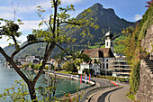Blick auf Gersau am Vierwaldstättersee, Kanton Schwyz, Zentralschweiz, Schweiz, Europa