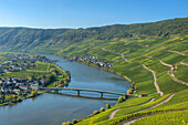 View at Piesport, Moselle, Rhineland-Palatine, Germany