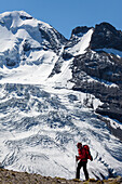 Ein Mann beim Wandern, Bergsteigen vor dem Blüemlisalpmassiv, Kandertal, Blick vom Kamm zwischen Schwarzhorn und Bundstock, Berner Oberland, Kanton Bern, Schweiz