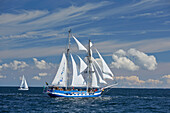 Segelschiffe auf der Ostsee zur Hanse Sail, Rostock Warnemünde, Mecklenburg Vorpommern, Deutschland, Europa