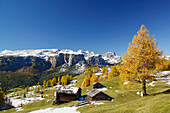 Meadow with hay shed and larch trees in autumn colors, view to Gardenaccia, Puez range and Geisler range, valley Val Badia, Dolomites, UNESCO World Heritage Site Dolomites, South Tyrol, Italy
