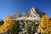 Langkofel range above Steinerne Stadt with larch trees in autumn colors, Langkofel range, Dolomites, UNESCO World Heritage Site Dolomites, South Tyrol, Italy