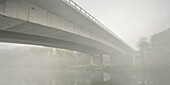 A8 Autobahn Brücke eingehüllt in Nebel, Donau Fluss, Leipheim bei Günzburg, Schwaben, Bayern, Deutschland