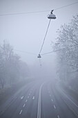 Straße und Straßenbeleuchtung im Nebel, Neu-Ulm, Schwaben, Bayern, Deutschland