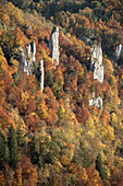 Steinformation, Blick vom Knopfmacherfels, Donau im Herbst, Naturpark Oberes Donautal bei Beuron, Landkreis Sigmaringen, Schwäbische Alb, Baden-Württemberg, Deutschland